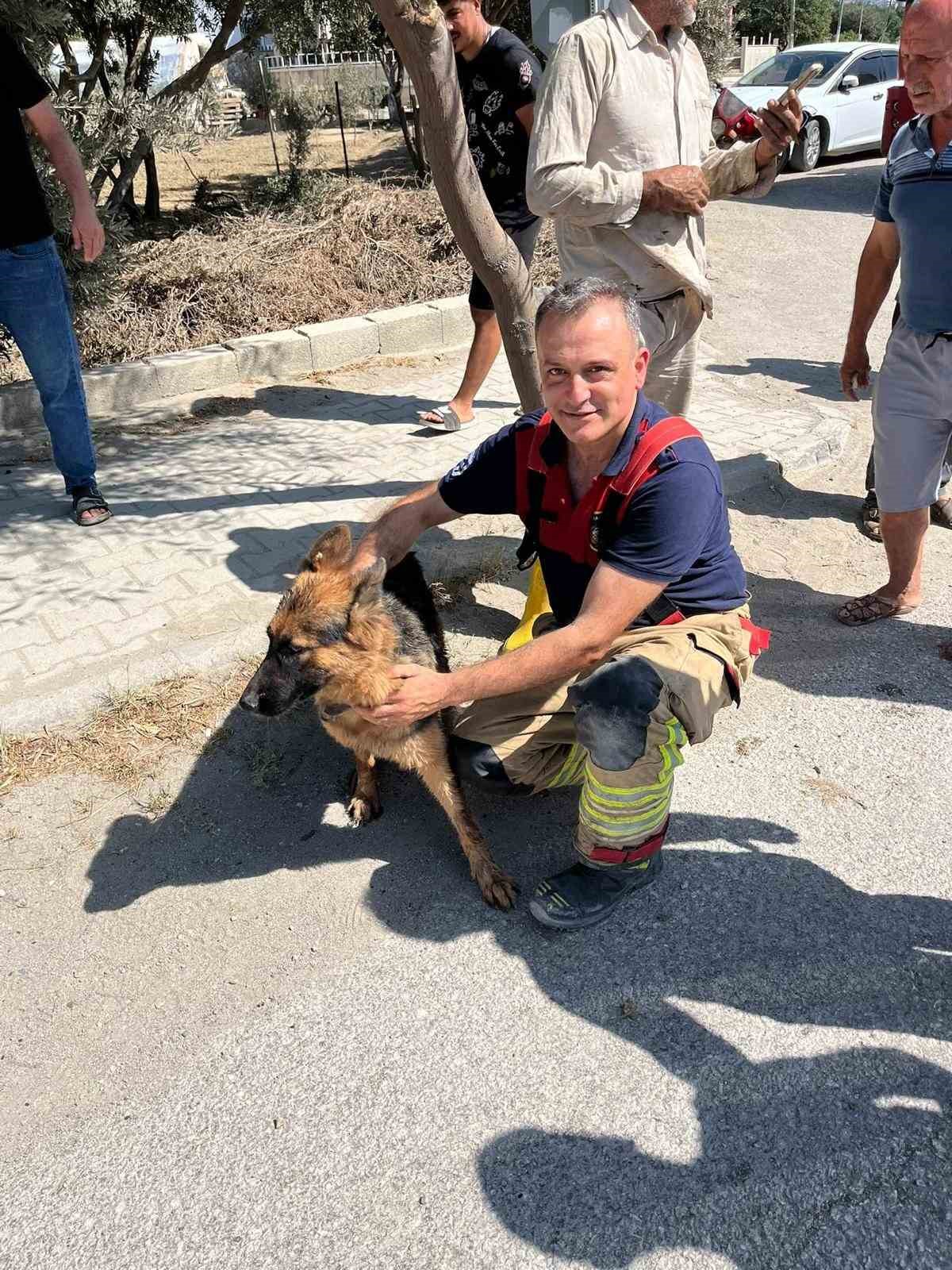 minibusun-altinda-sikisip-mahsur-kalan-kopegi-itfaiye-kurtardi