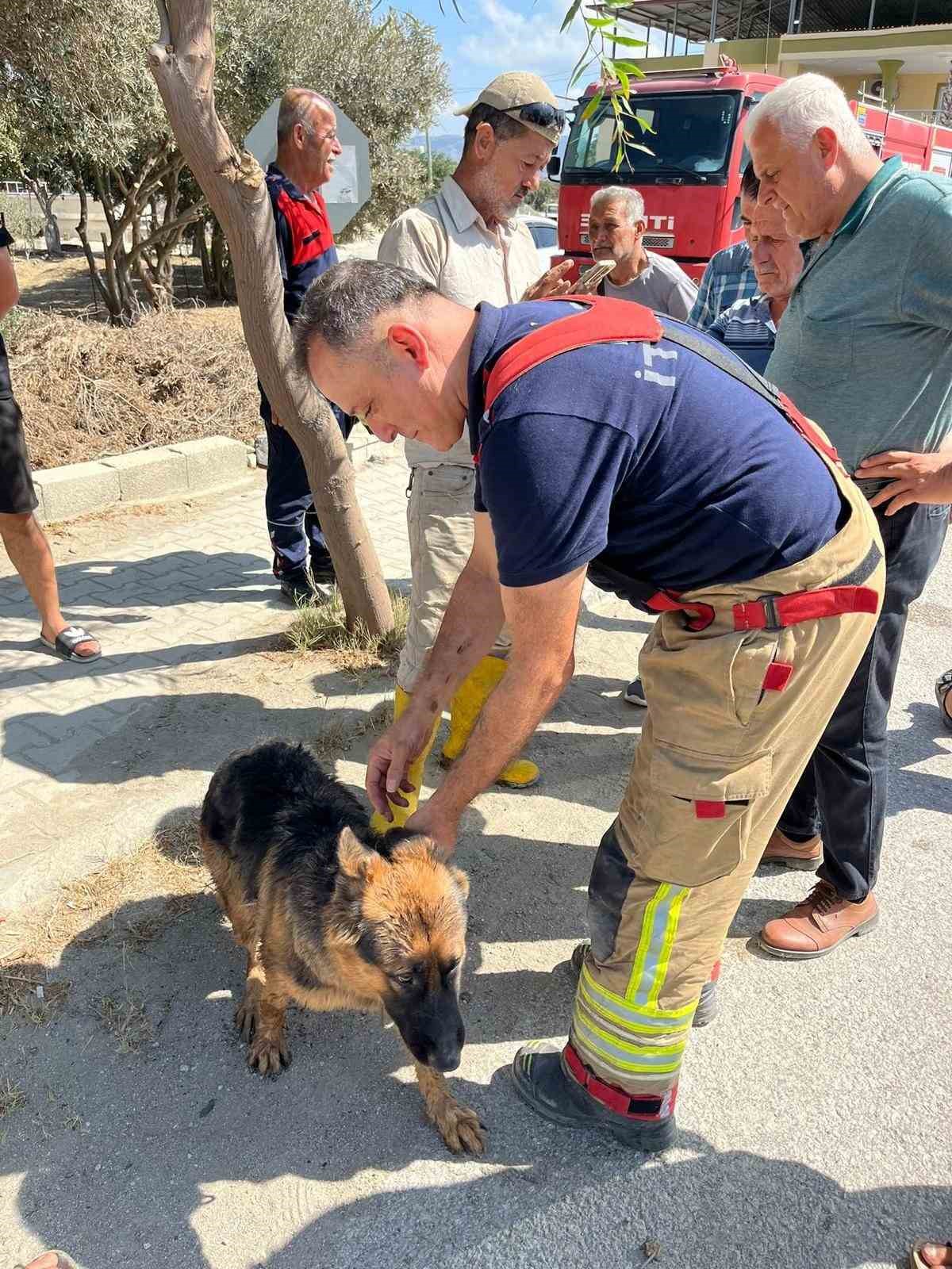 minibusun-altinda-sikisip-mahsur-kalan-kopegi-itfaiye-kurtardi