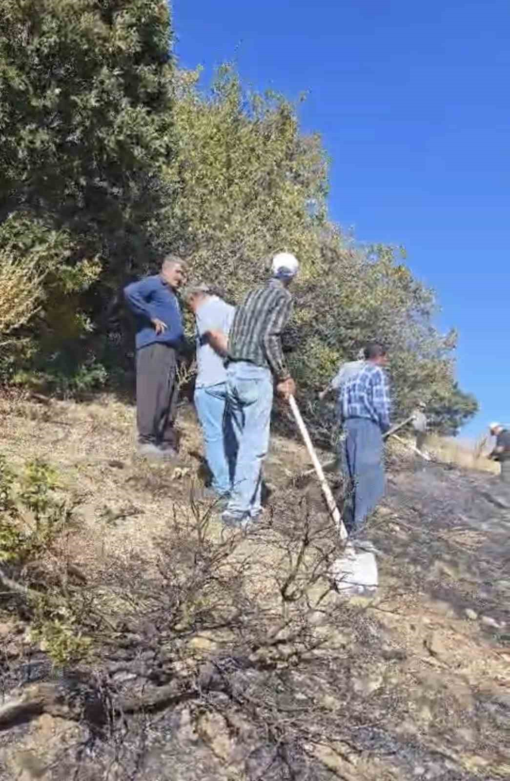 sincik-ilcesinde-korkutan-orman-yangini