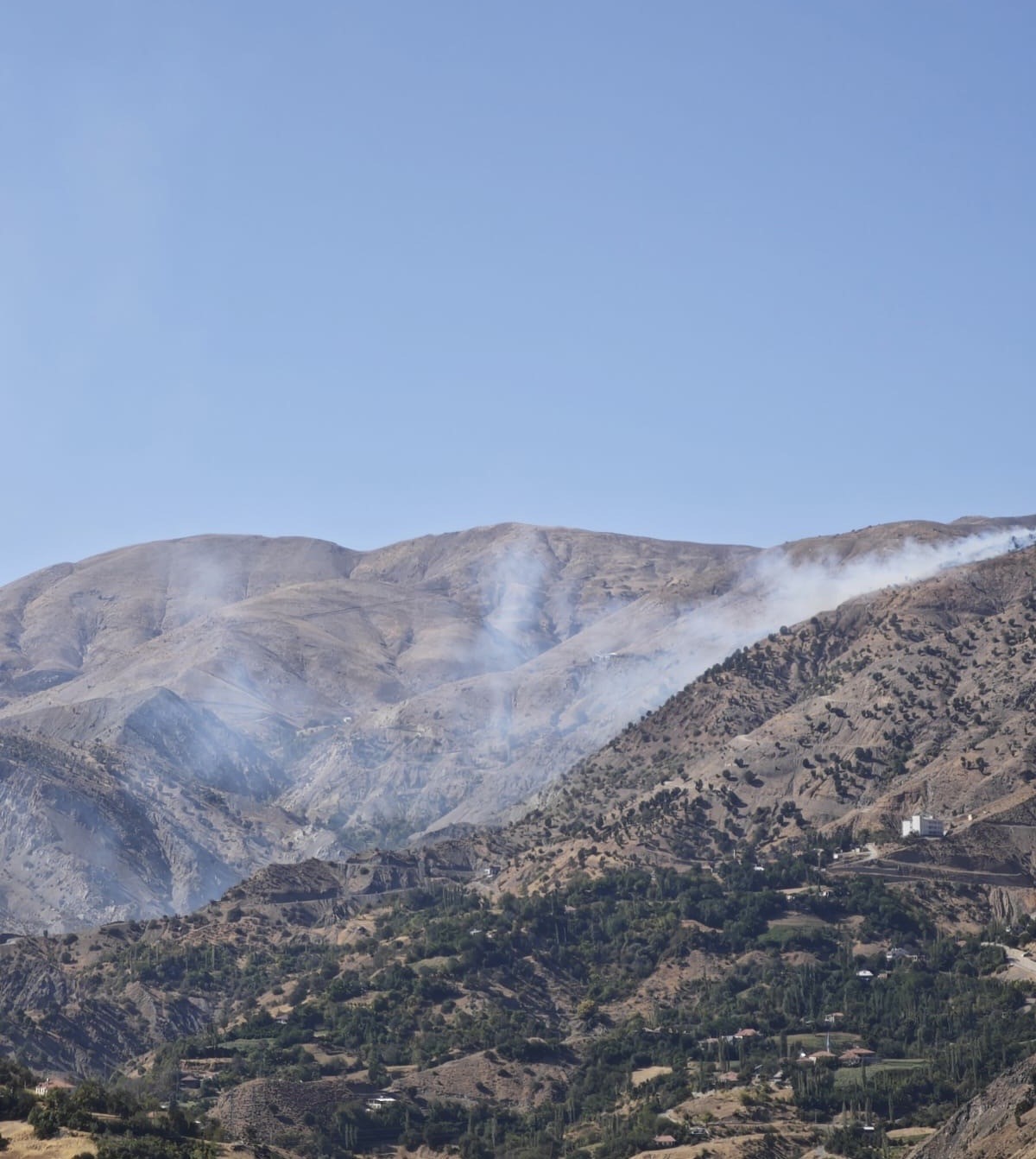 sincik-ilcesinde-korkutan-orman-yangini