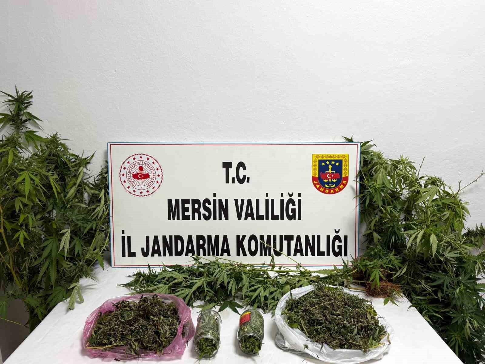 uyusturucuyu-saksilara-ekip-evinin-cevresine-yerlestirmis