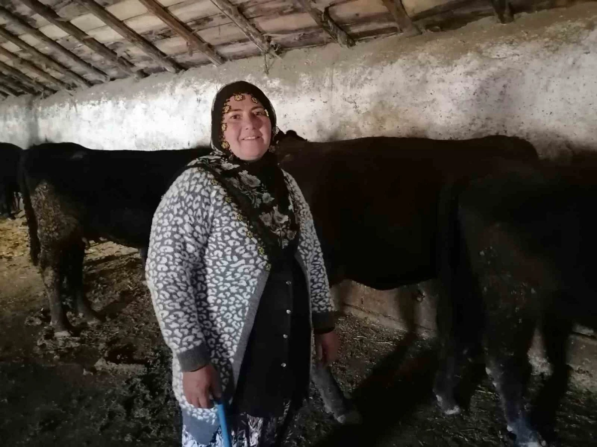 Erzurum'un Hınıs ilçesinde 'Kırsalda Bereket' projesiyle ilk buzağılar doğdu 1