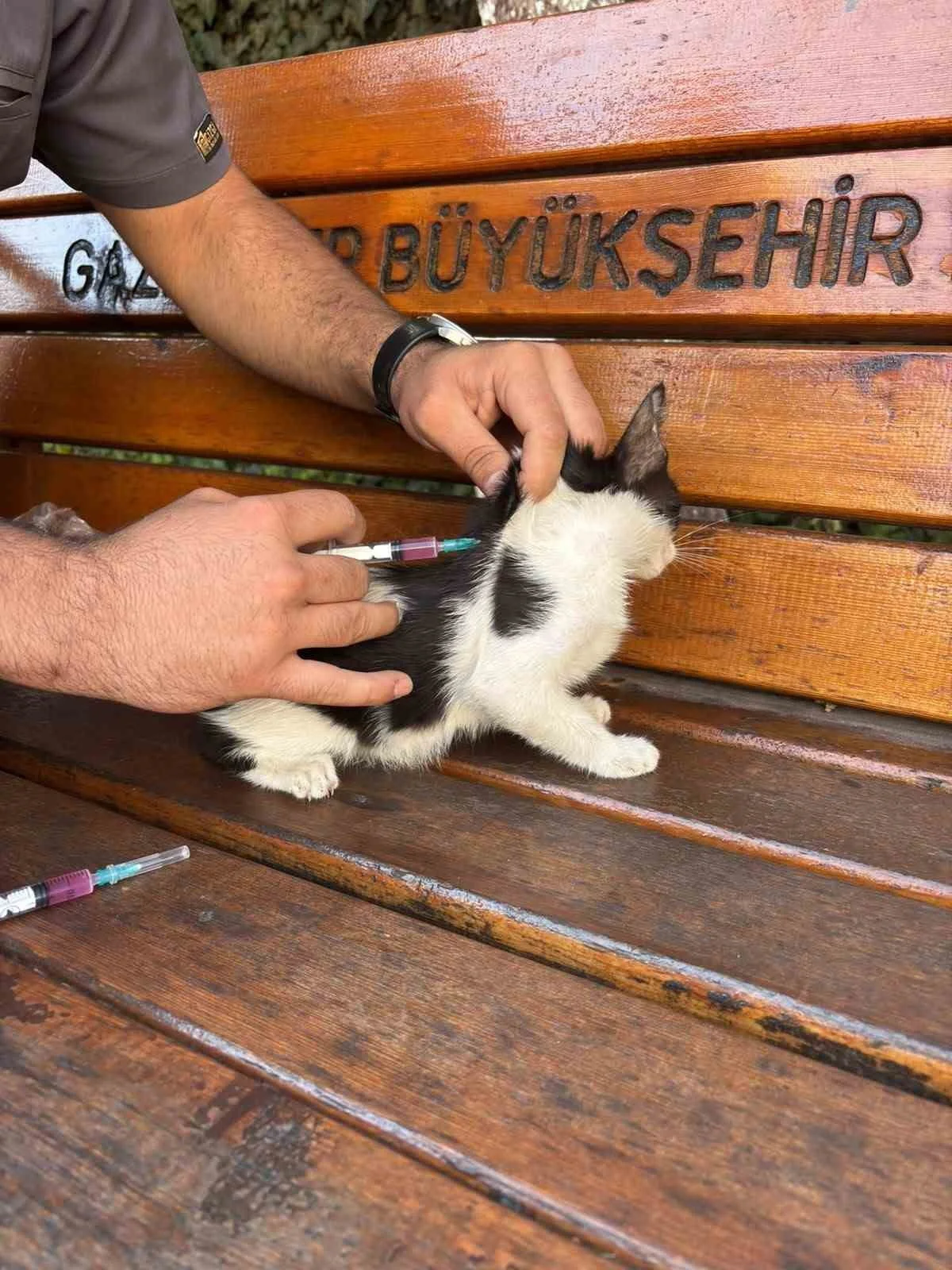 HAYVAN DOSTU GKV’Lİ ÖĞRENCİLERDEN ÖRNEK DAVRANIŞ