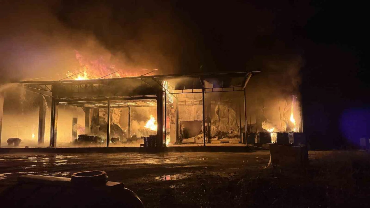 Bursa İznik'te soğuk hava deposunda çıkan yangına müdahale ediliyor 2