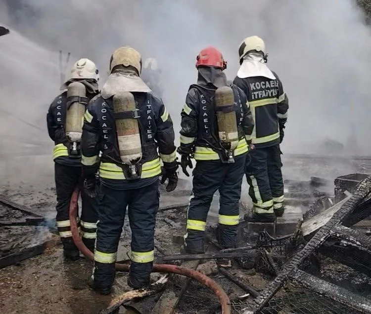 Kocaeli'de ahır yangını: 34 hayvan telef oldu 5