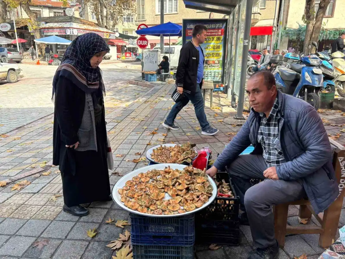 Tavşanlı'da sonbahar yağmurlarıyla melki mantarı mesaisi başladı 3