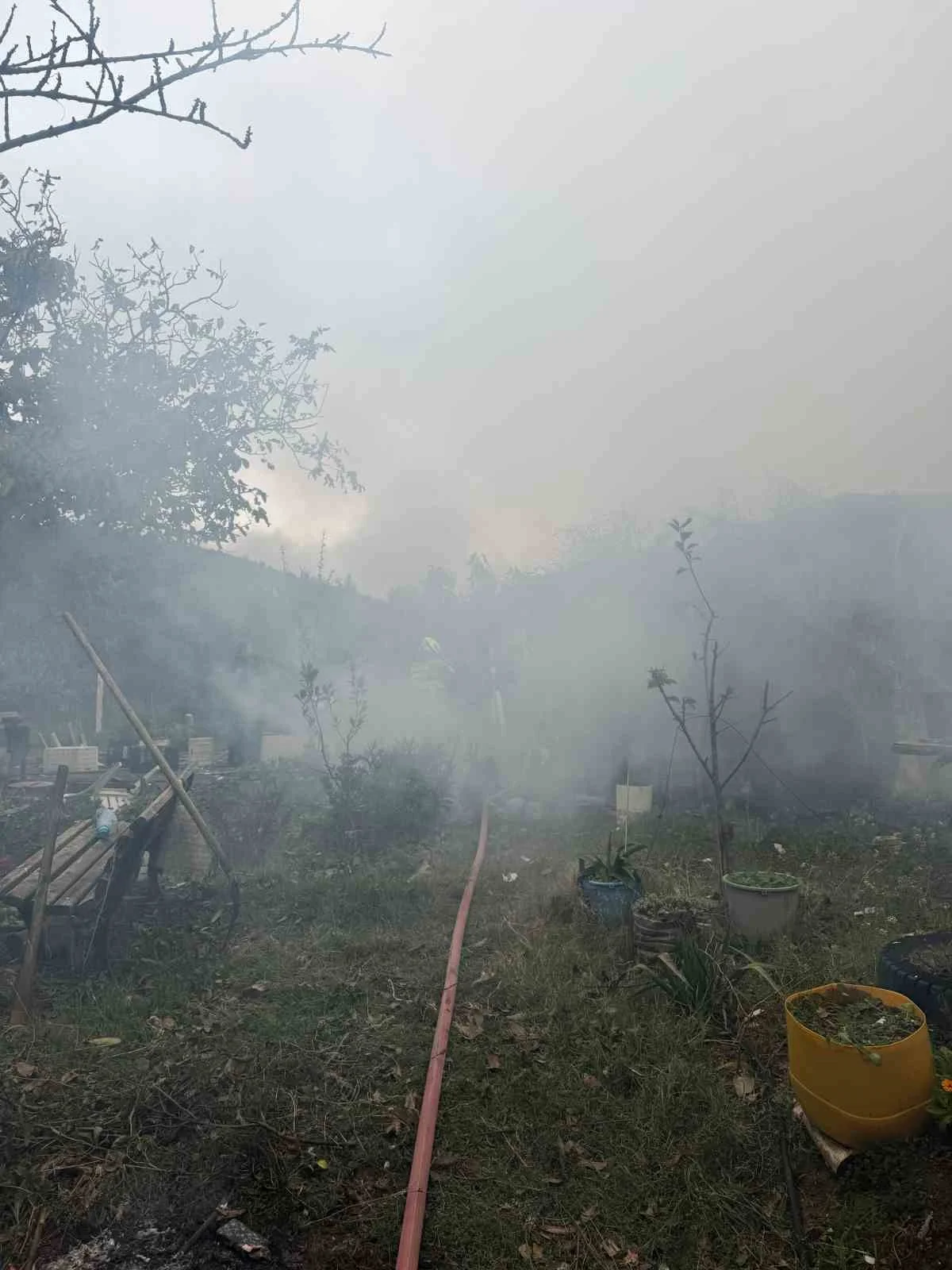 Erdek'te zeytin ağaçlarının arasındaki müstakil evde yangın 3