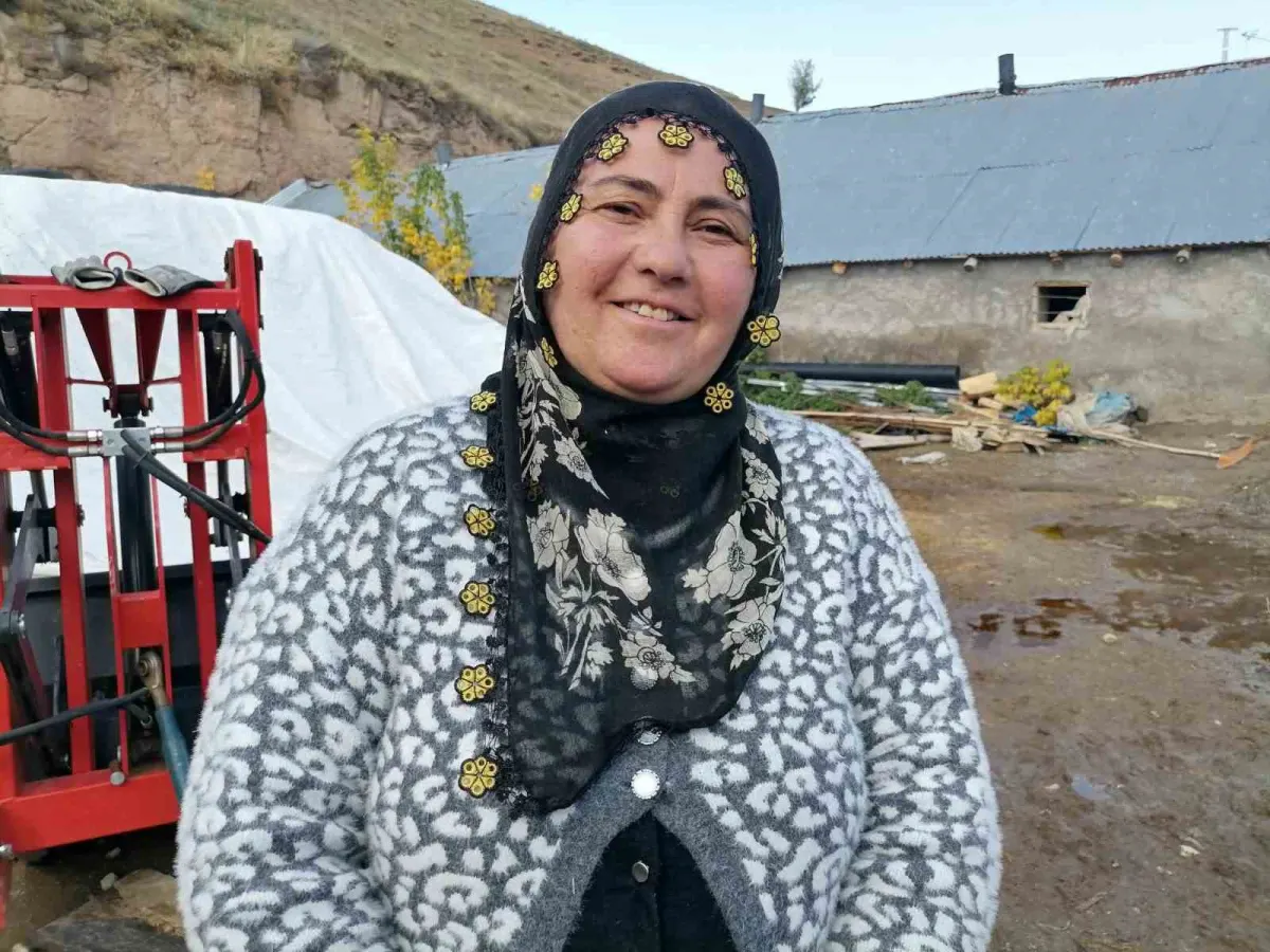 Erzurum'un Hınıs ilçesinde 'Kırsalda Bereket' projesiyle ilk buzağılar doğdu 3