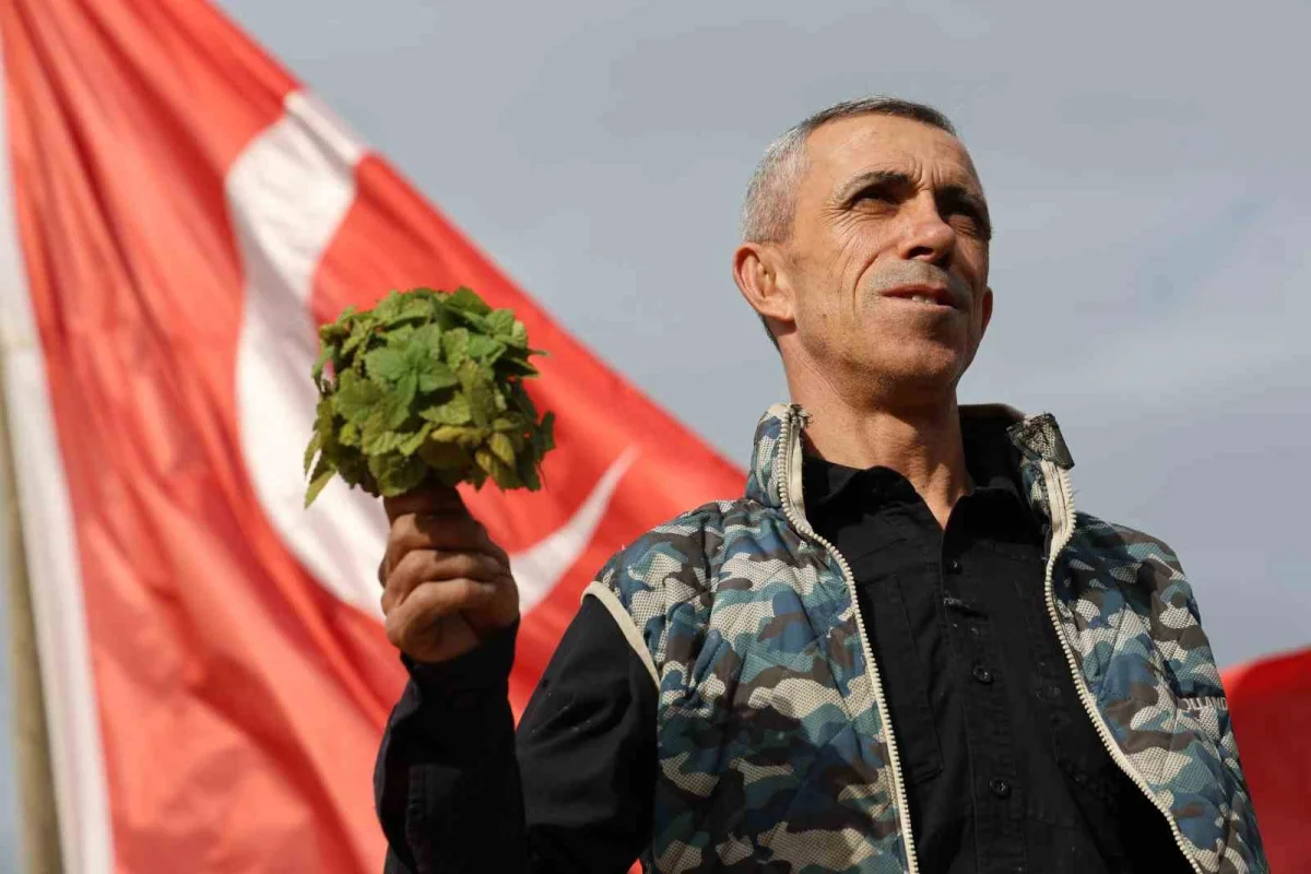 Elazığlı öğretmen kiraladığı dağlık araziyi aromatik bitki bahçesine çevirdi 1