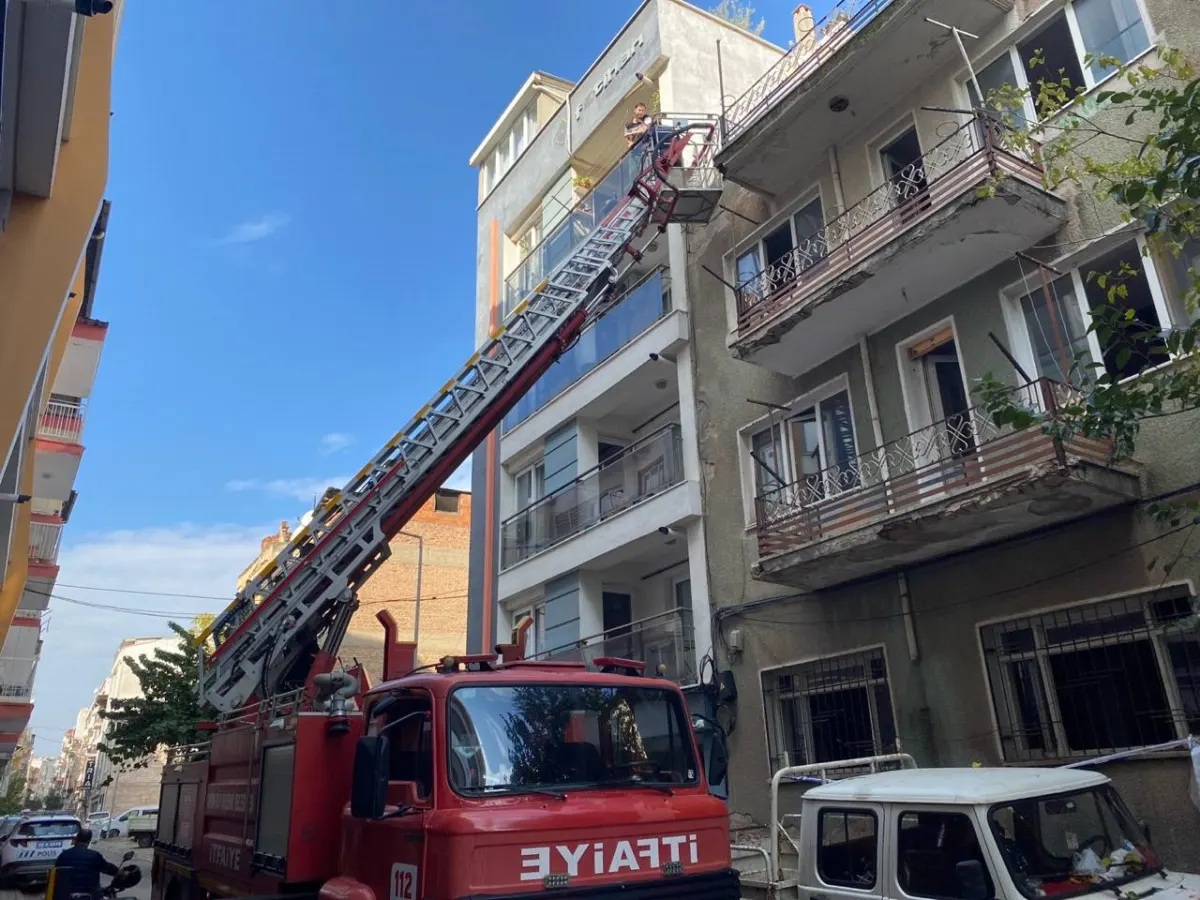 Aydın'da çatıya kaçan kedi itfaiye ekiplerince kurtarıldı 2