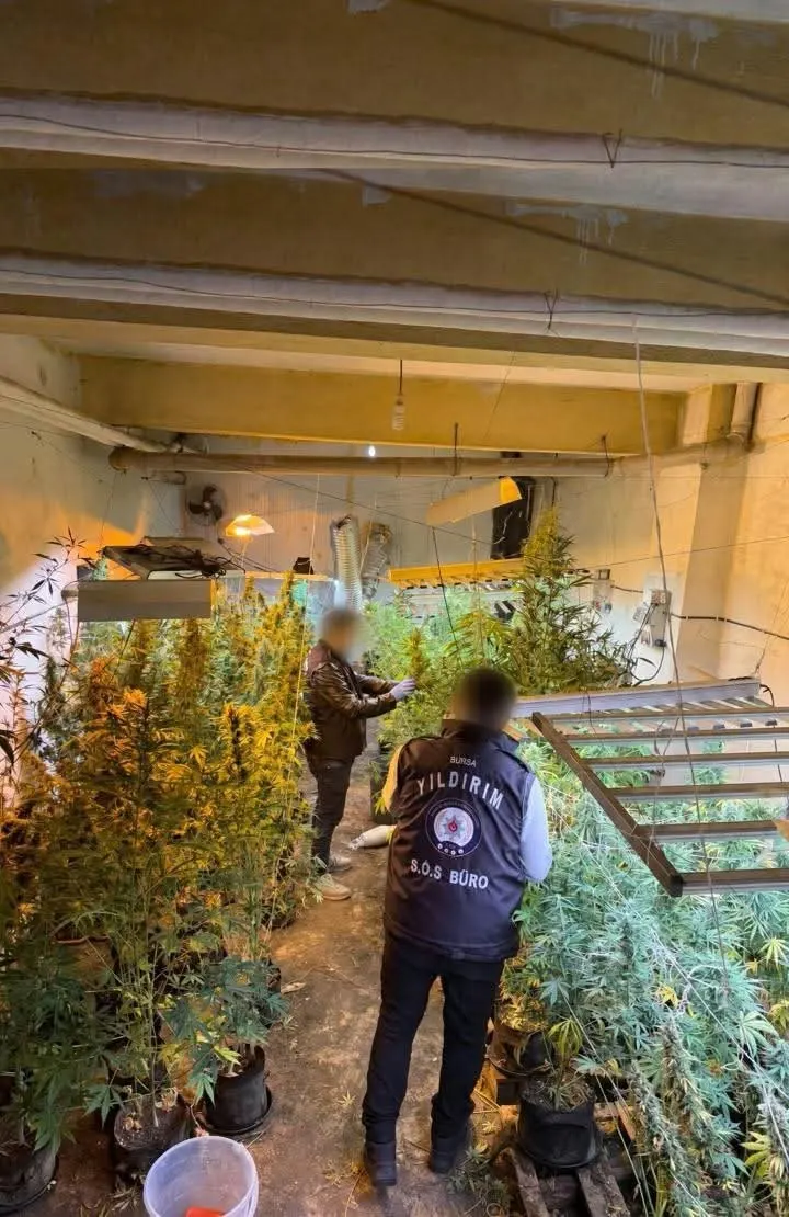 Bursa'da kasap dükkanının bodrum katından uyuşturucu serası çıktı 1