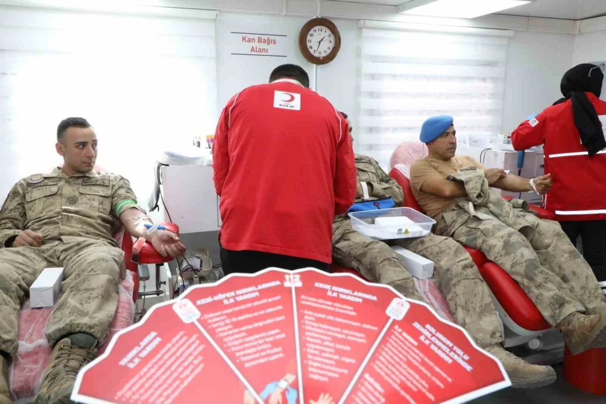 Tunceli'de kan bağışı yapanlara mavi selvi fidanı hediye edildi 2