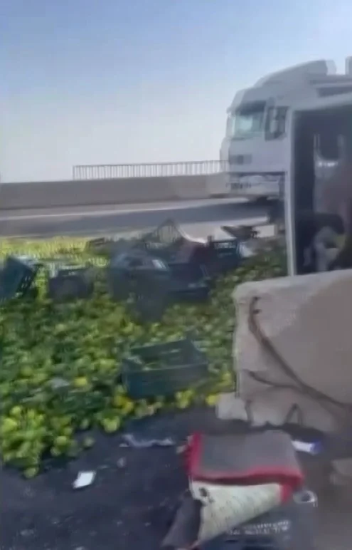 Gaziantep'te viyadük üzerinde mandalina yüklü kamyon devrildi 2