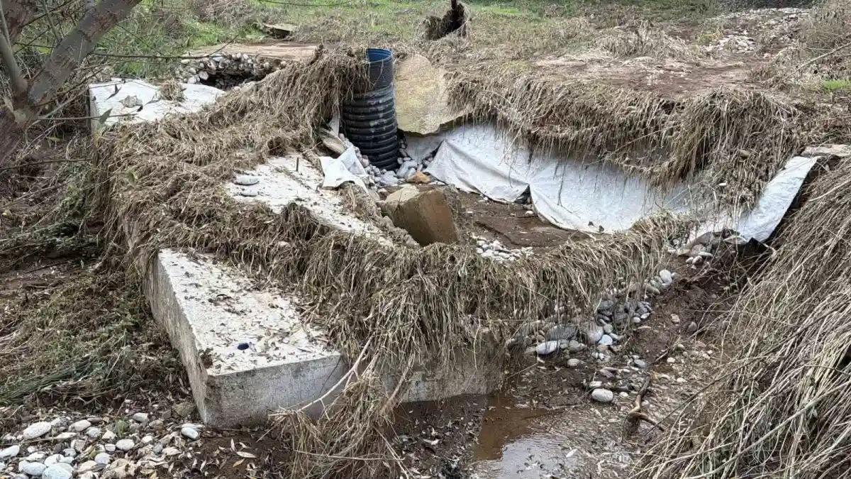Adıyaman'daki Boztepe köyünde 200 kişi bir aydır bir damla suya hasret kaldı 4