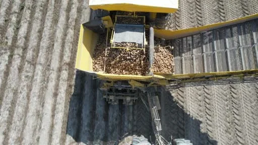 Konya, patates üretiminde Türkiye üretiminin yüzde 10,9'unu karşılıyor