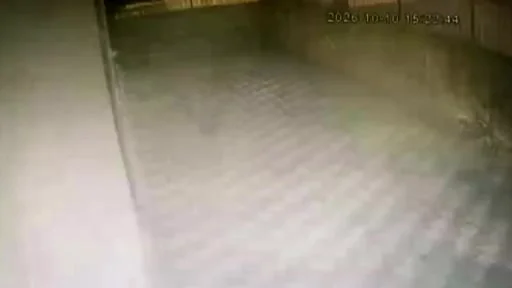 Pendik'te hafriyat kamyonu binaya daldı... O anlar kamerada