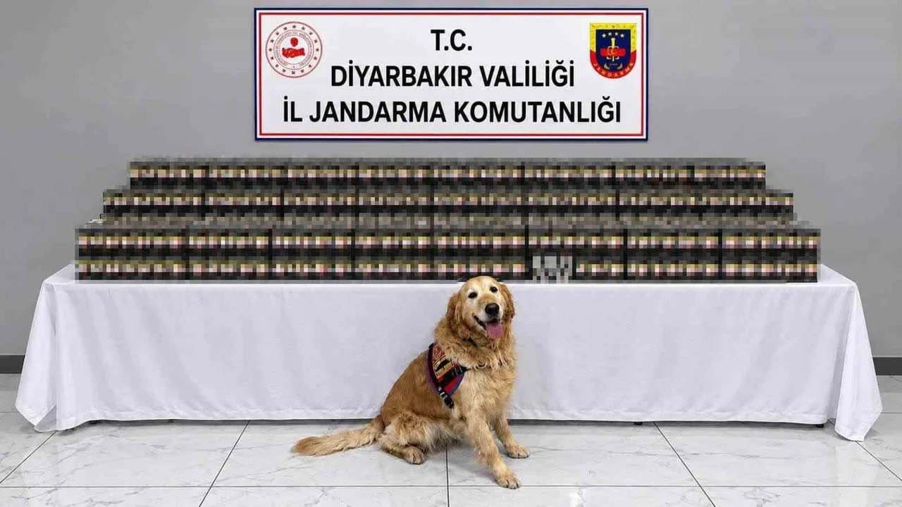 DİYARBAKIR’DA JANDARMA EKİPLERİNCE DÜZENLENEN OPERASYONLARDA 10 BİN 895 PAKET KAÇAK SİGARA ELE...