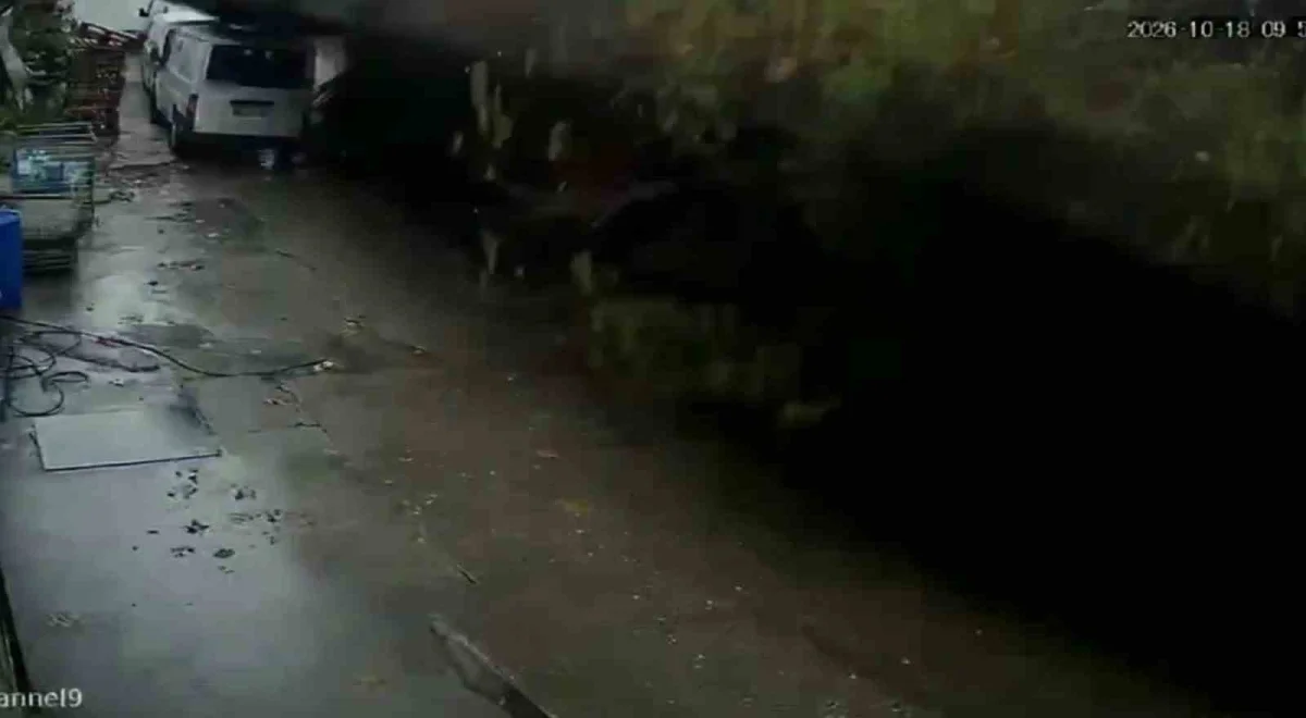 Zonguldak'ta istinat duvarının çökme anı kamerada: Köpekler telef oldu, araçlar enkaz altında kaldı 1