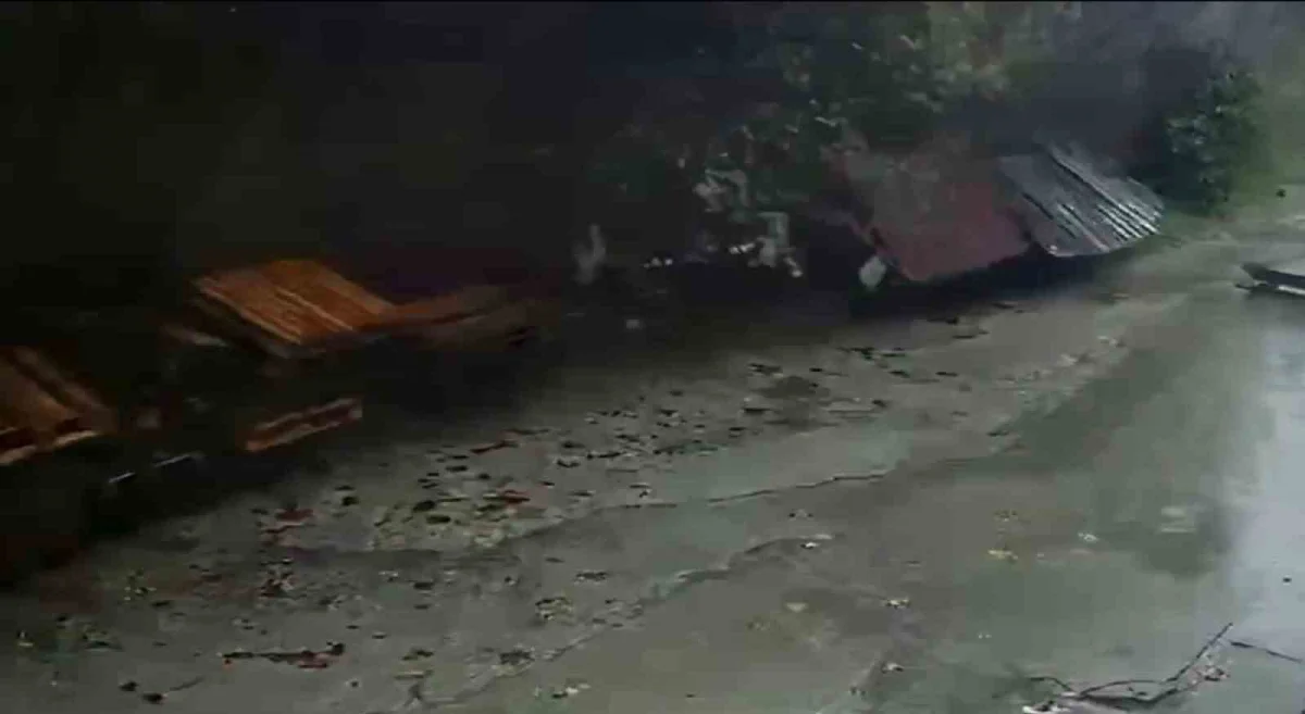Zonguldak'ta istinat duvarının çökme anı kamerada: Köpekler telef oldu, araçlar enkaz altında kaldı 2