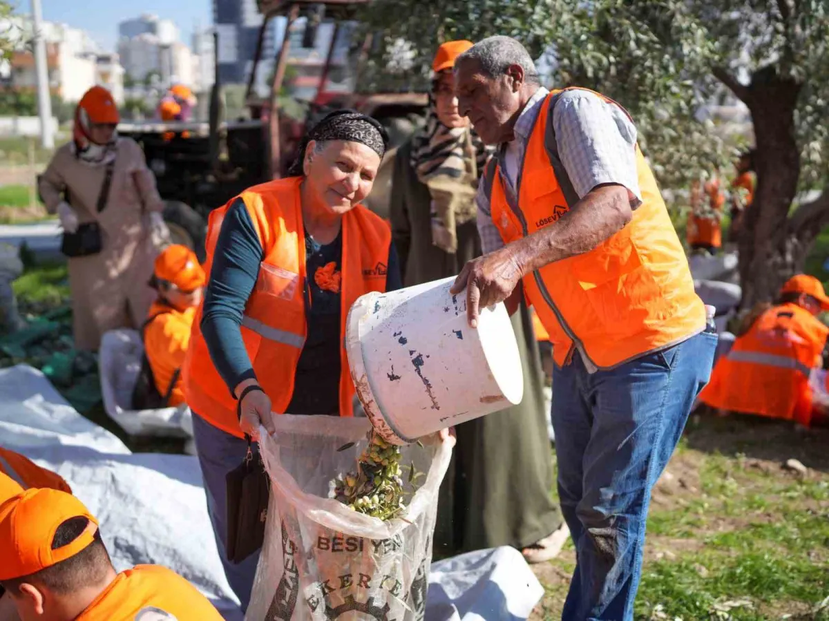 Tarsus'ta zeytin dalları lösemili çocuklara umut olmak için toplandı 4