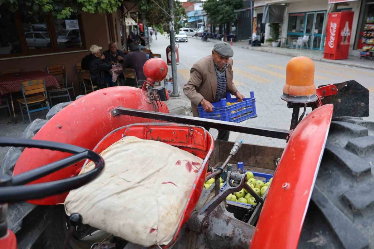 Aydın'da 88 yaşındaki çiftçi 69 yıllık traktörüyle üretime devam ediyor 5
