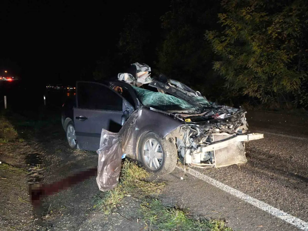 Kastamonu'da büyükbaş hayvana çarpan otomobilin sürücüsü hayatını kaybetti 2