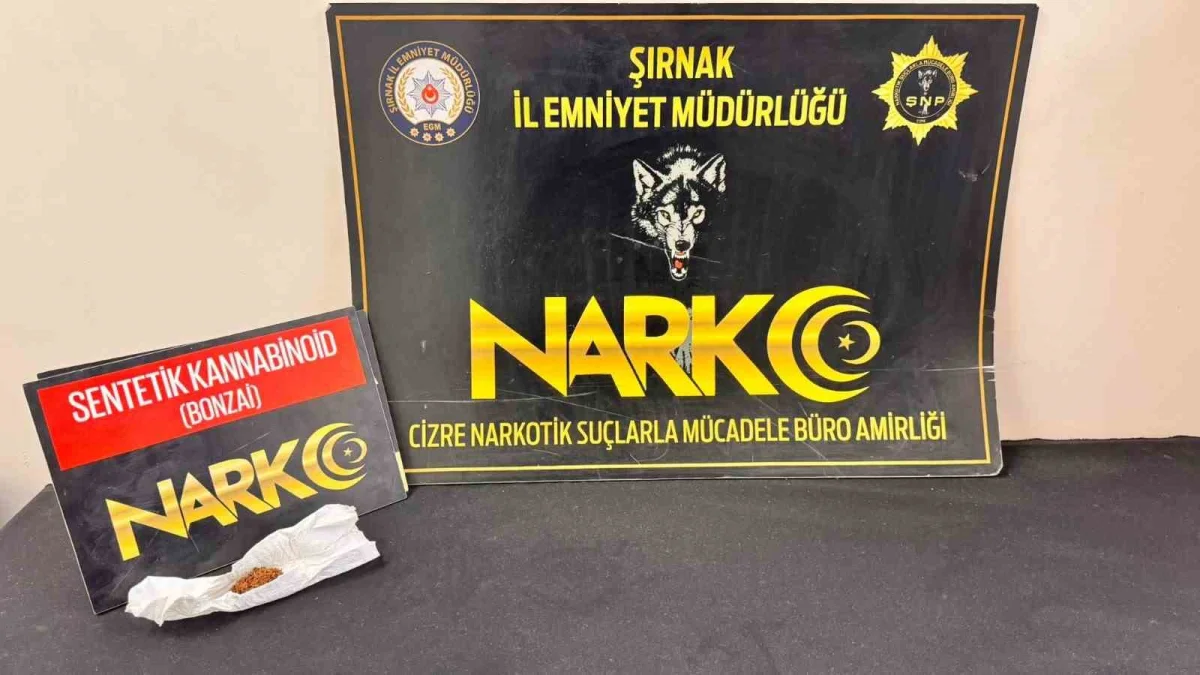 Şırnak'ta asayiş ve narkotik operasyonları: 17 kişi tutuklandı 3