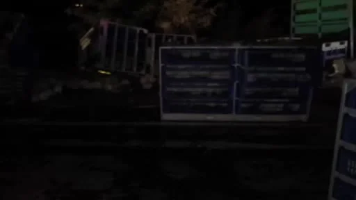 Tavuk yüklü tır devrildi, çok sayıda tavuk telef oldu