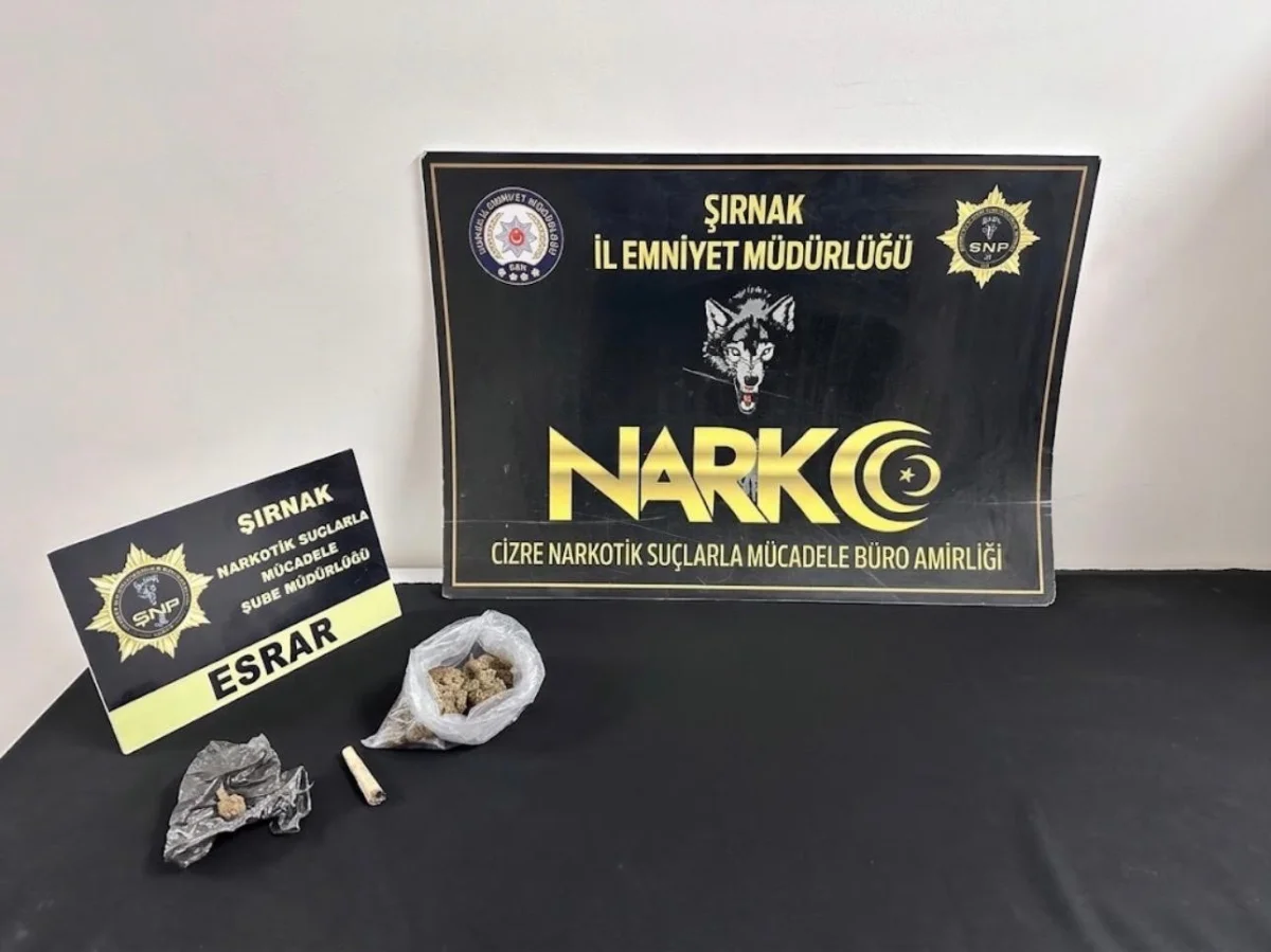 Şırnak'ta asayiş ve narkotik operasyonları: 17 kişi tutuklandı 1