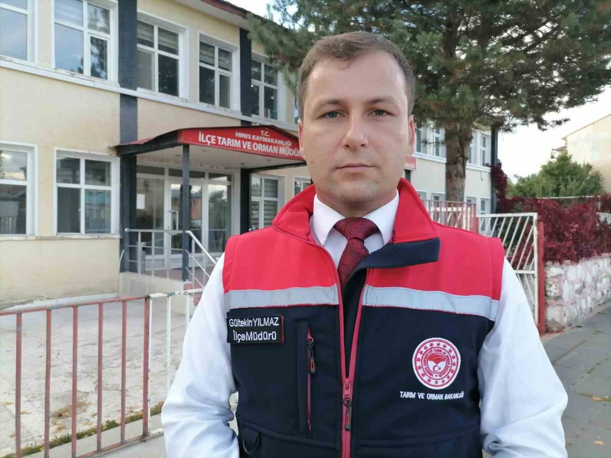 Erzurum'un Hınıs ilçesinde 'Kırsalda Bereket' projesiyle ilk buzağılar doğdu 2