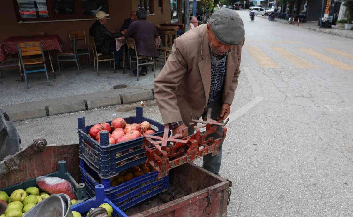 Aydın'da 88 yaşındaki çiftçi 69 yıllık traktörüyle üretime devam ediyor 4