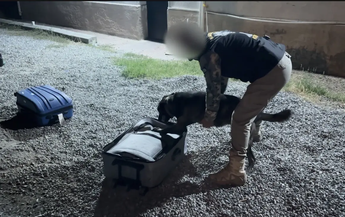 Iğdır'da uyuşturucu sevkiyatına darbe: 6 kişi tutuklandı 1