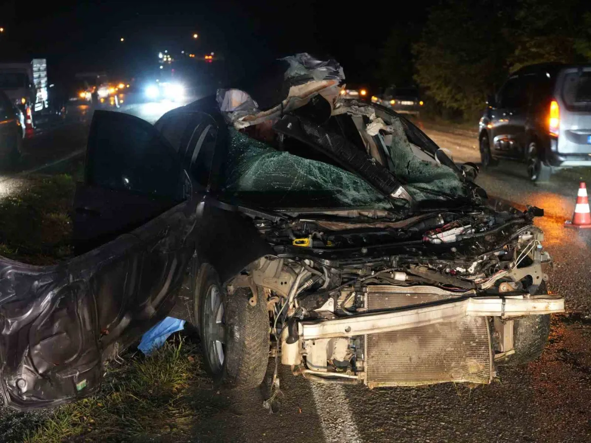 Kastamonu'da büyükbaş hayvana çarpan otomobilin sürücüsü hayatını kaybetti 1