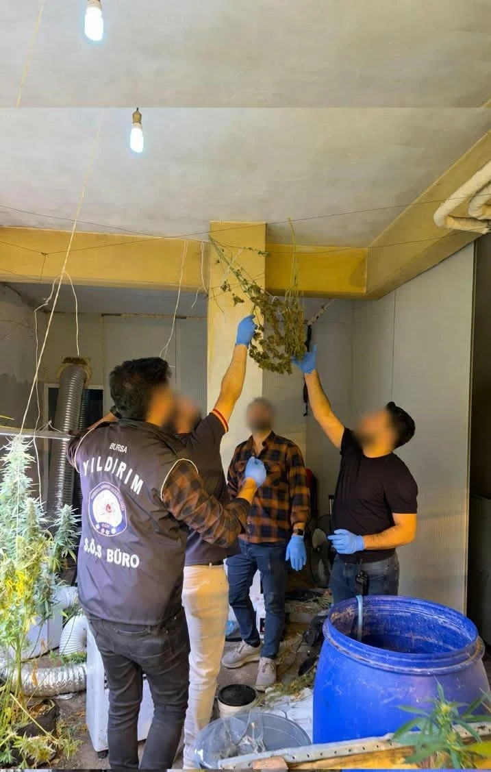 Bursa'da kasap dükkanının bodrum katından uyuşturucu serası çıktı 2