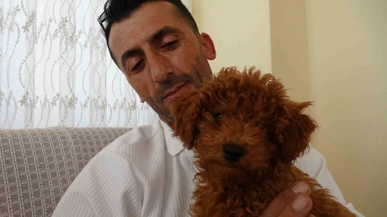 NECATİ GÜRLEVİK