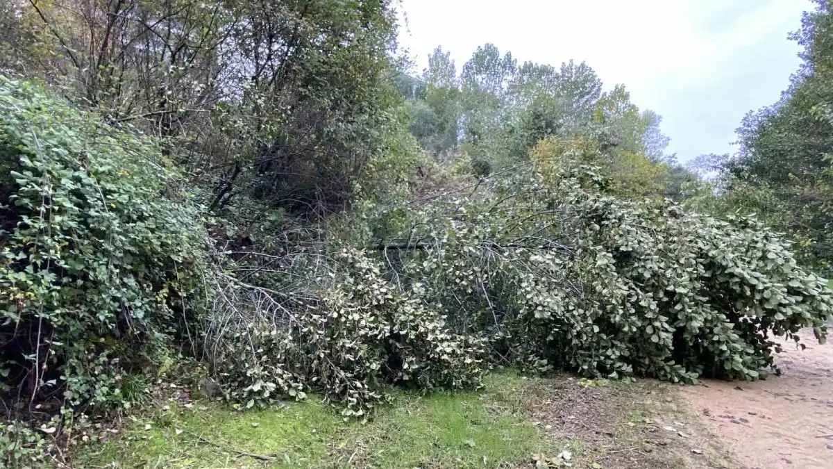 Kocaeli'de çöken istinat duvarı çocuk parkını yuttu 4