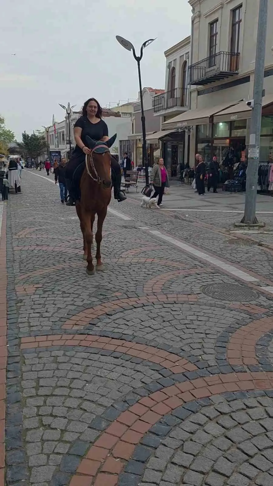 Edirne'de atıyla caddeye çıkan kadın vatandaşları şaşırttı 2