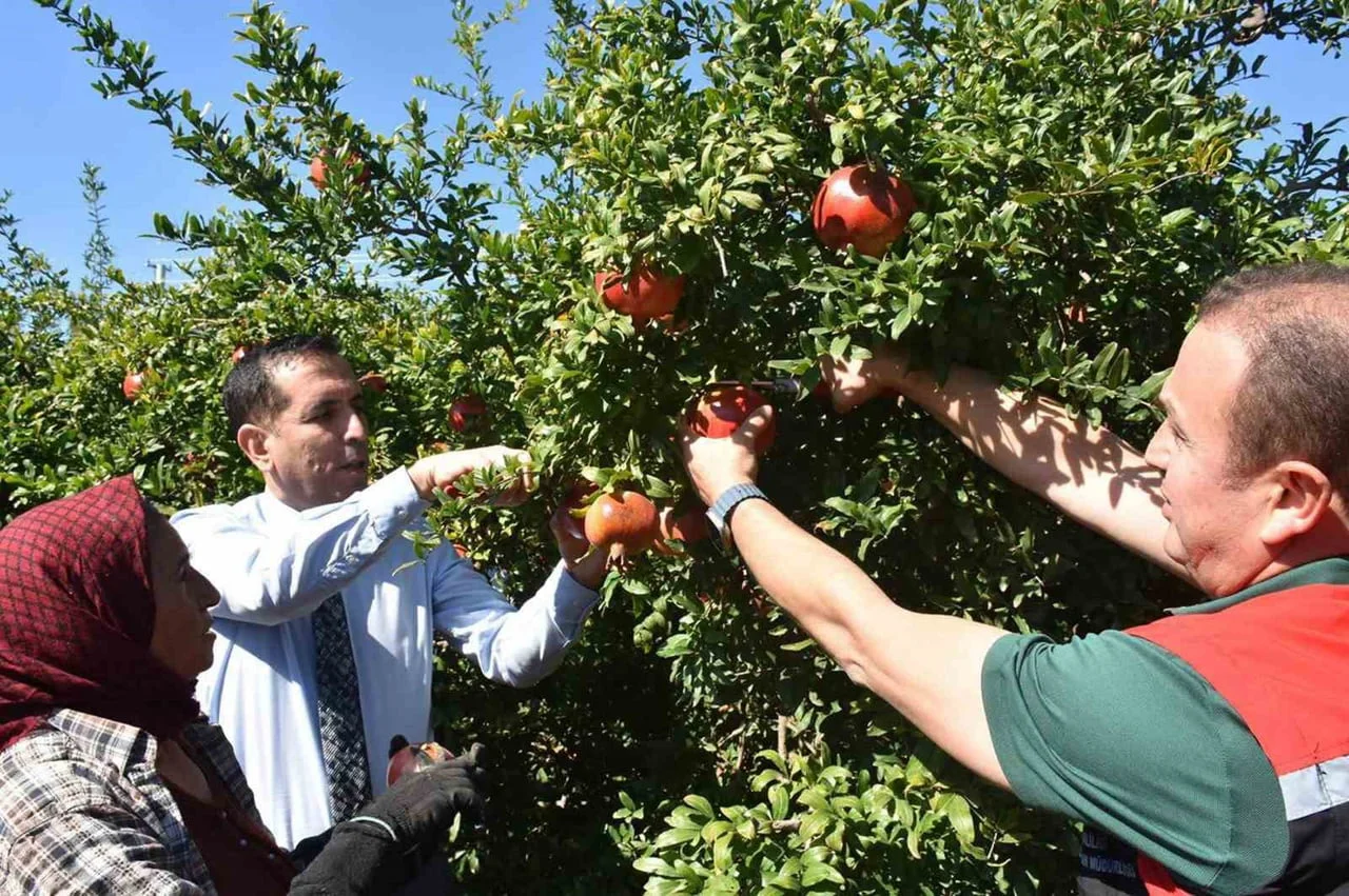 ORTACA’DA NAR HASADI