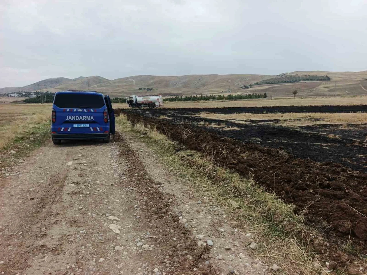 SİİRT’İN KURTALAN İLÇESİNDE EKİM ÖNCESİ TARLASINDAKİ ANIZI YAKAN ÇİFTÇİYE JANDARMA EKİPLERİ...