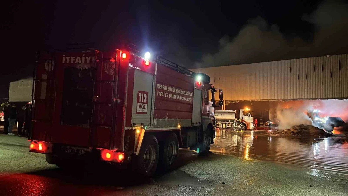 Mersin'de yıldırım düşen antrepoda çıkan yangın kontrol altına alındı 5