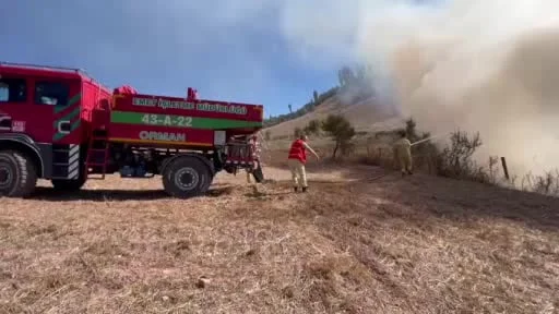 Hisarcık'ta otluk ve çalılık alanda çıkan yangın ormana sıçramadan söndürüldü