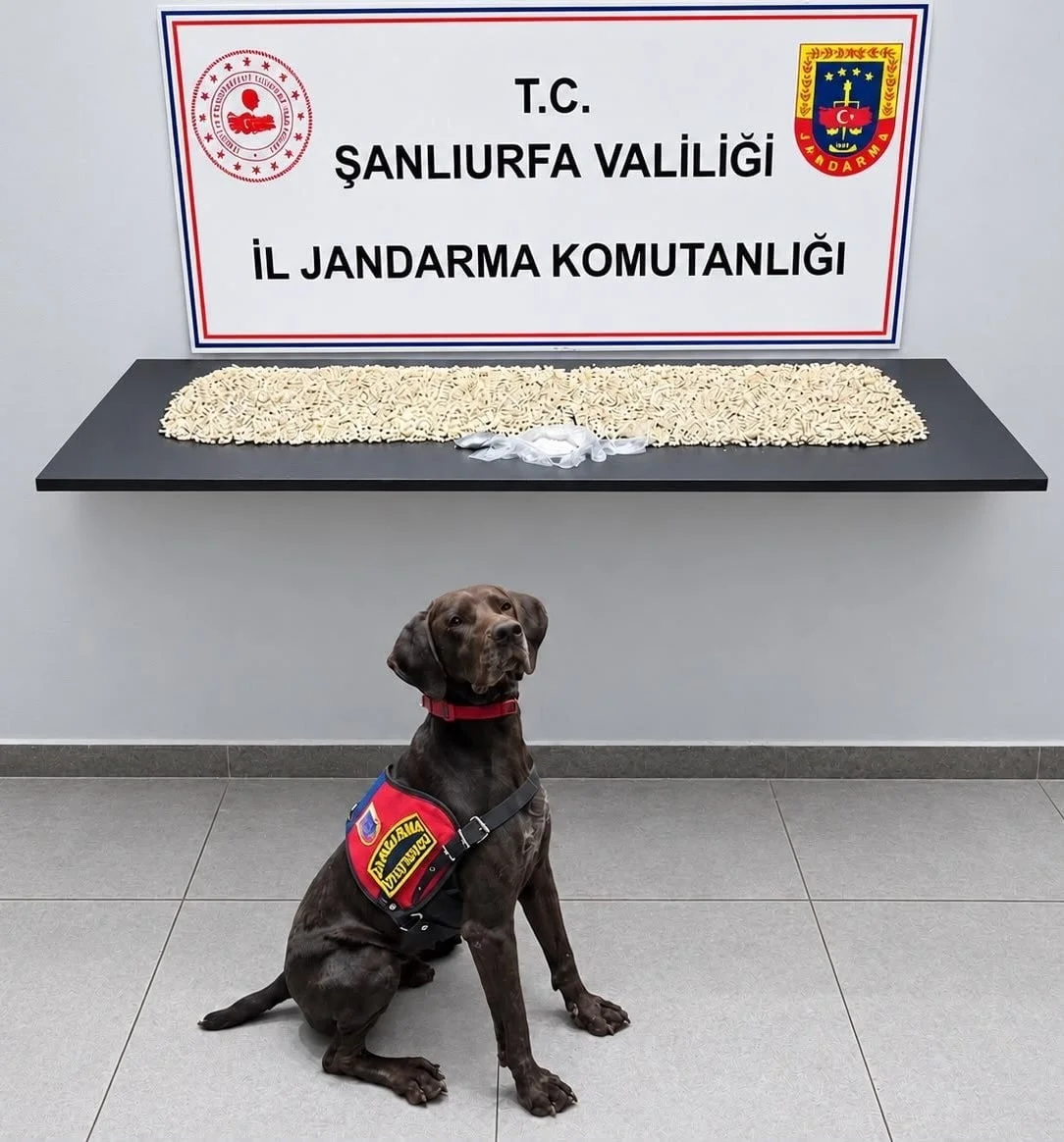 ŞANLIURFA'NIN EYYÜBİYE İLÇESİNDE DÜZENLENEN OPERASYONDA 14 BİN 410 CAPTAGON HAP İLE 20 GRAM...