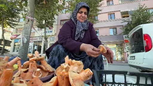 Bolu’da ormandan kova kova topluyor, pazarda kilosunu 600 liradan satıyor