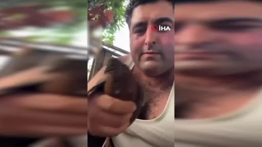 Alanya'da kuş vahşeti kamerada: Birinin kafasını ağzıyla kopardı, diğerini bıçakla kesti