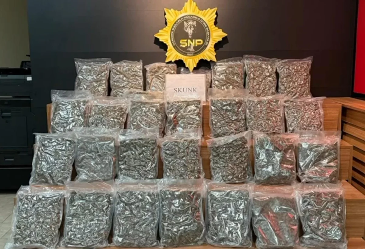 Şanlıurfa'da yolcu otobüsünde 16 kilo 400 gram skunk ele geçirildi 1
