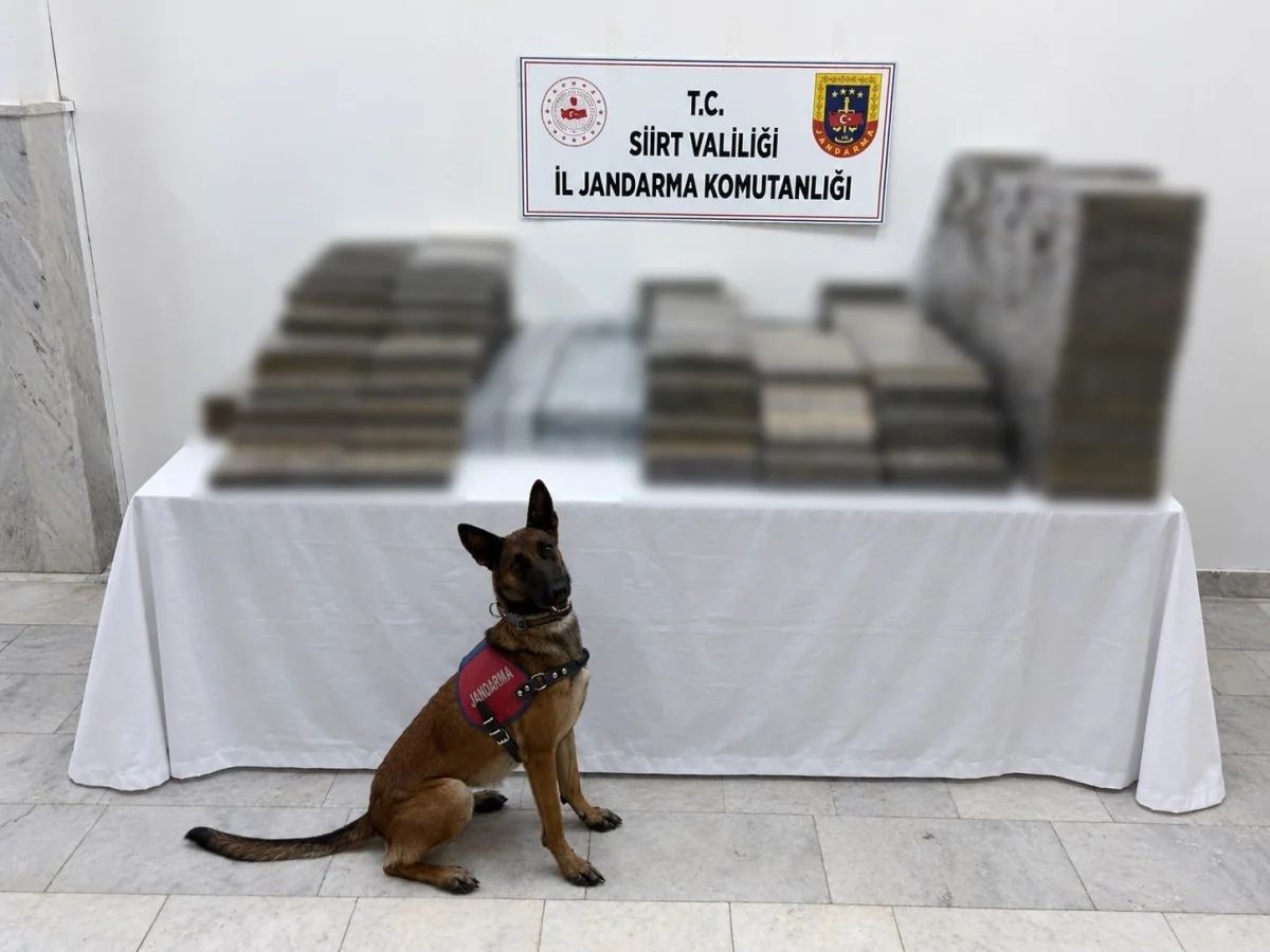 Siirt'te kömür çuvallarından 700 bin liralık kaçak sigara çıktı 1