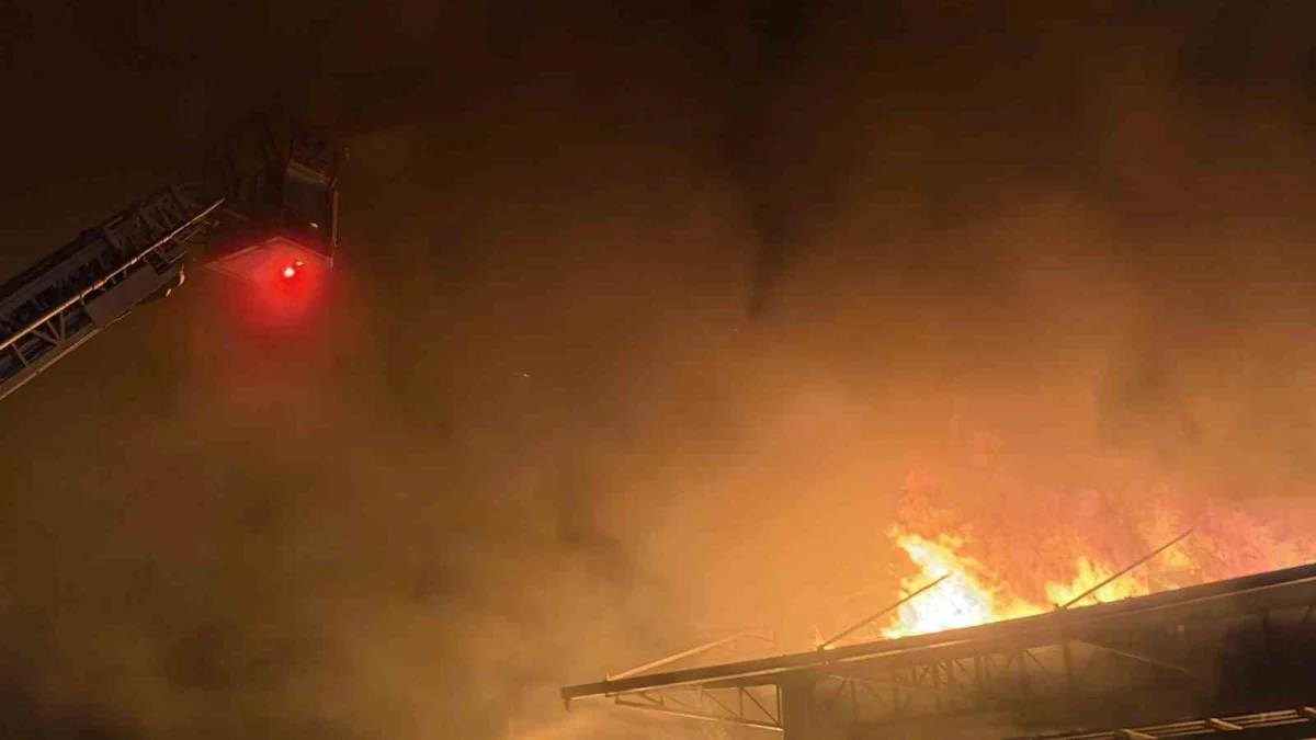 Bursa İznik'te soğuk hava deposunda çıkan yangına müdahale ediliyor 3