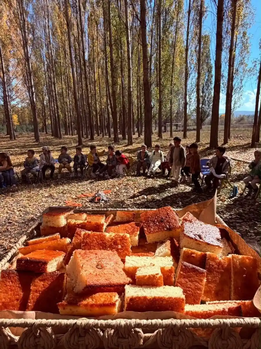 Aydıntepe'de anaokulu öğrencileri sonbaharı doğada öğrenerek karşıladı 2