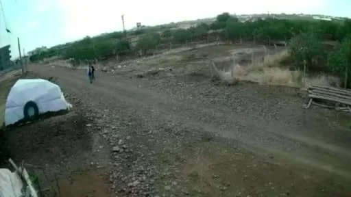 Siverek’te kangal köpeğinin çalınma anı kamerada