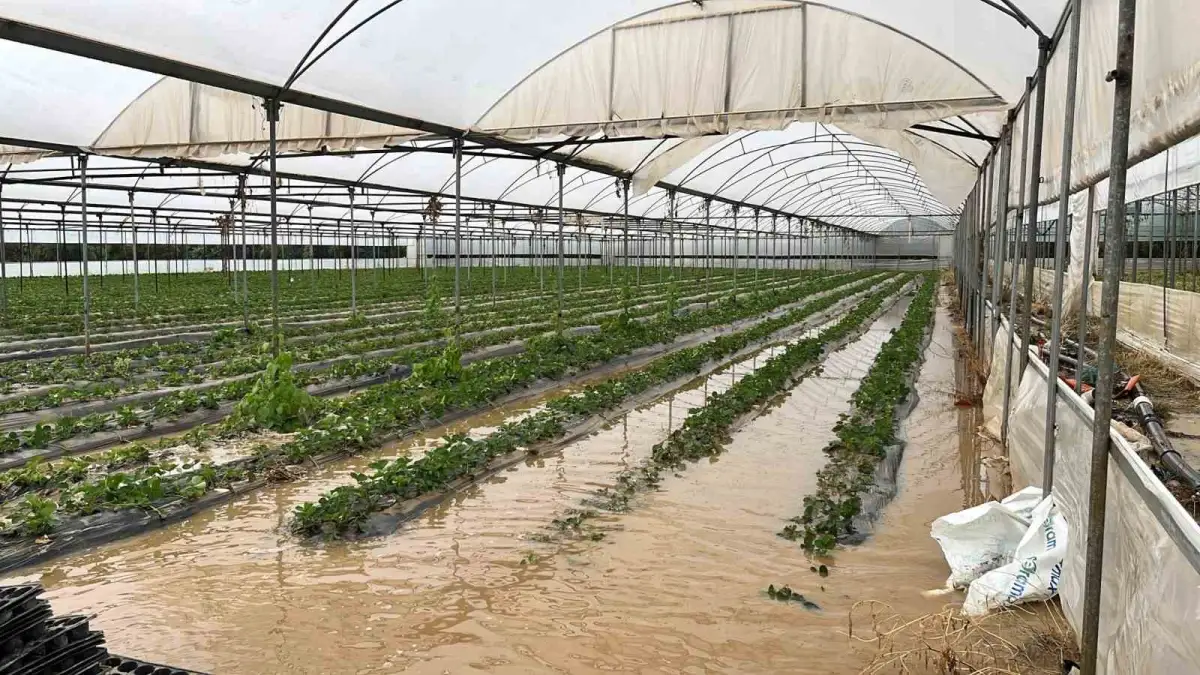 Mersin'de şiddetli yağış cadde ve tarım arazilerini sular altında bıraktı 5